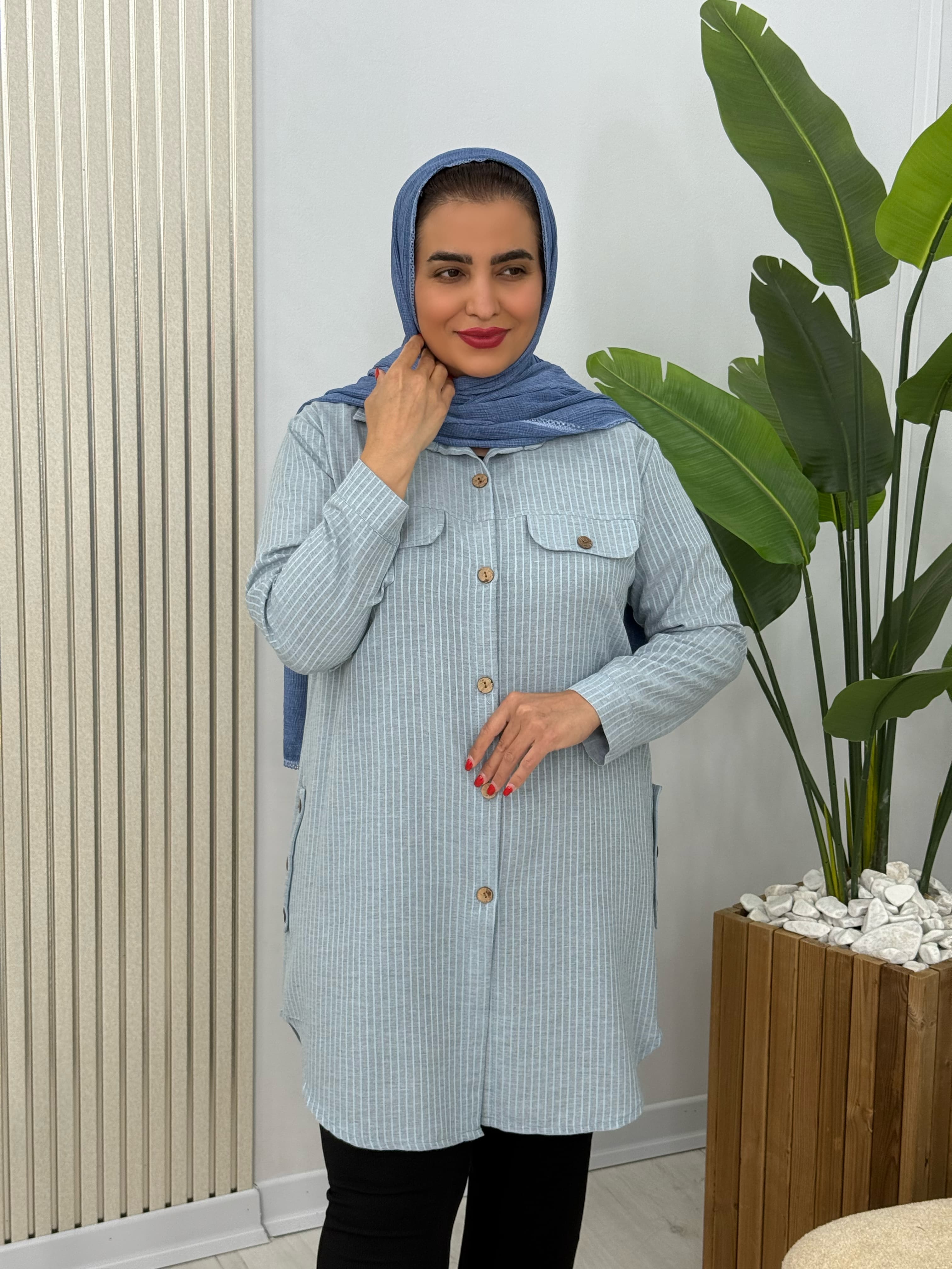 مانتو سنجاقک