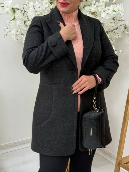 پالتو مستان