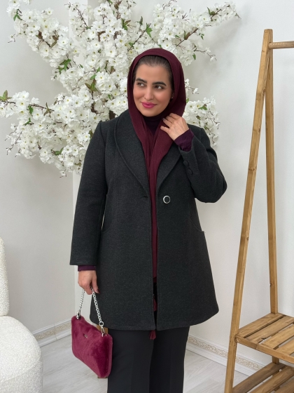 پالتو کتی ابنبات